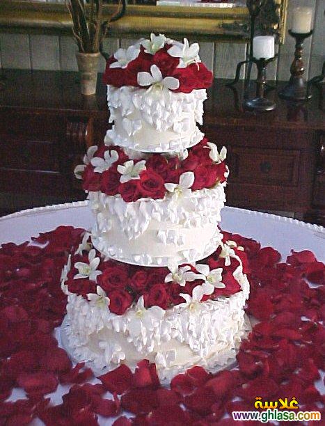       2025      5 2025 Photos birthday cake do.php?img=11757