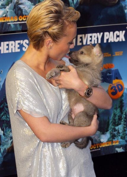    2024  2025  Hayden Panettiere and her dog do.php?img=2532