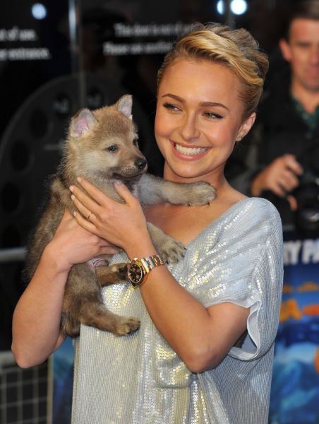    2024  2025  Hayden Panettiere and her dog do.php?img=2533