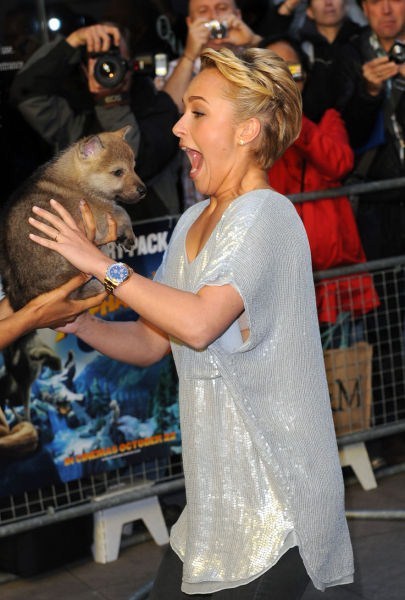    2024  2025  Hayden Panettiere and her dog do.php?img=2539