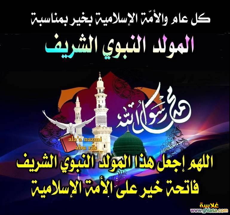    1445      1445  2025 do.php?img=40086