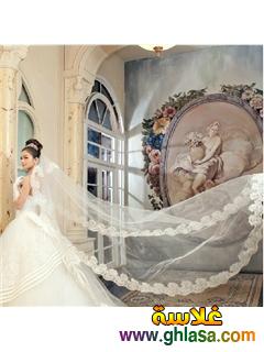 صور اروع تشكيلة طرح, زفاف جديده  2024 اجدد تشكيلة طرح, لفساتين الزفاف 2024 do.php?img=42996