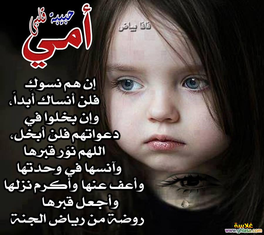      2025      2025 do.php?img=46718