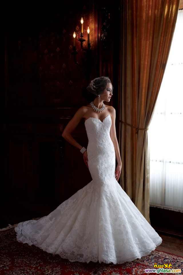     2024  Wedding Dresses 2024 do.php?img=49467