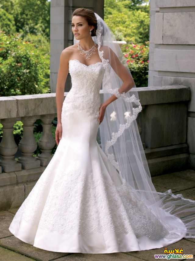     2024  Wedding Dresses 2024 do.php?img=49477