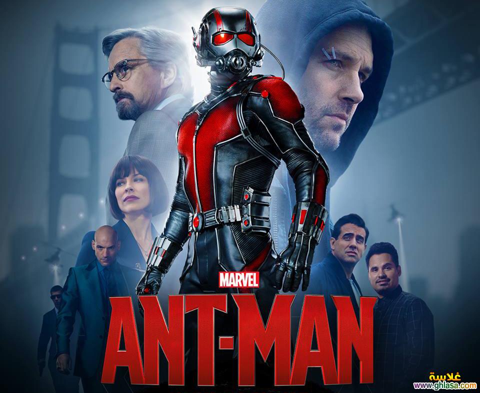      Ant-Man  do.php?img=62460