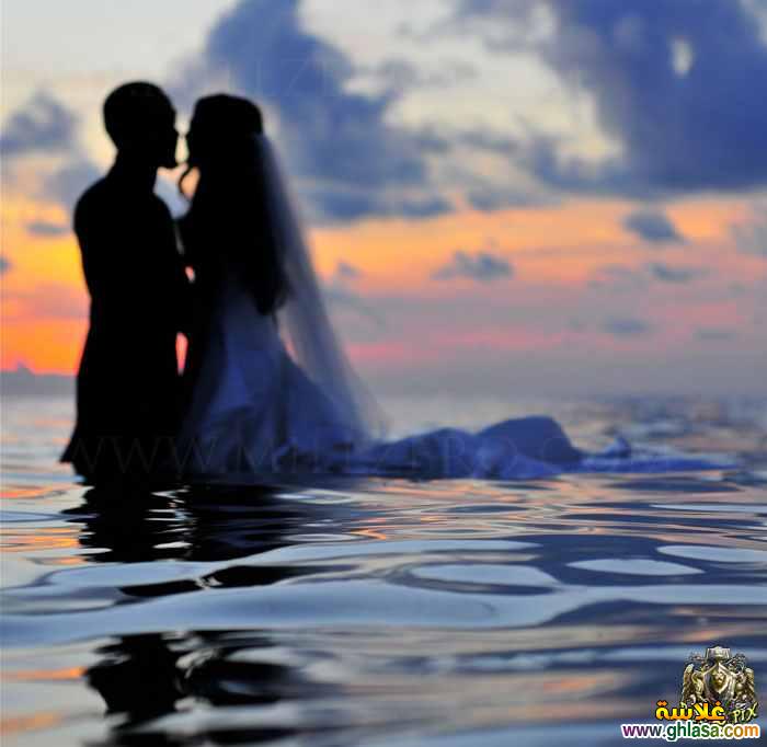 Photo romantic love 2026   2026  w,v pf    2025 do.php?img=63753