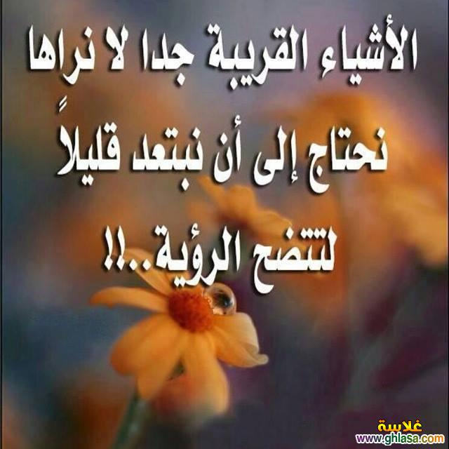    2026      2026 do.php?img=63807