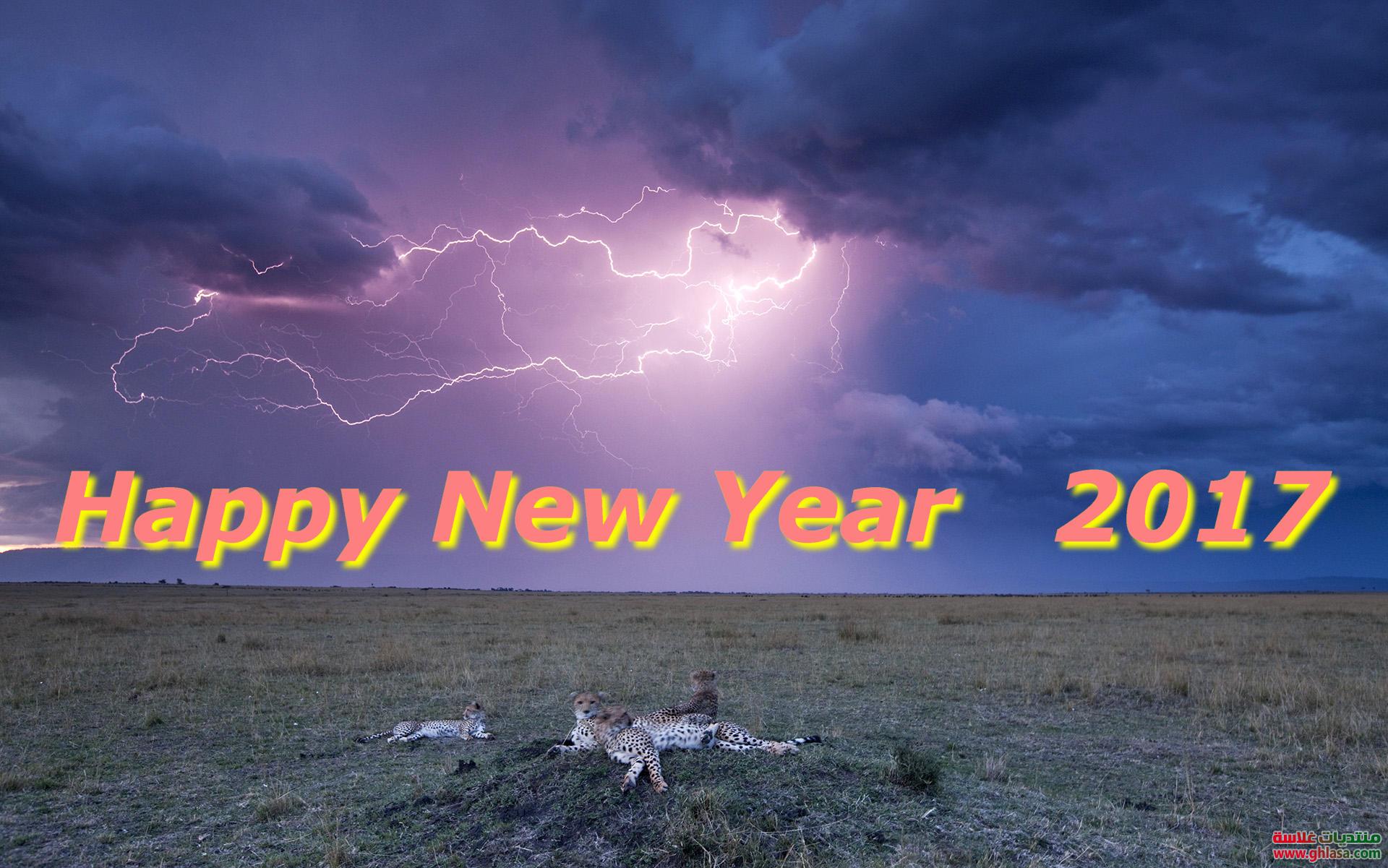     2024 / 2025 ,     2024 / 2025 , happy.new.year.2024 / 2025 do.php?img=66821