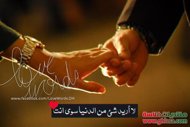  love , w,v pf ,    ,  ,  , love2025 do.php?img=68994