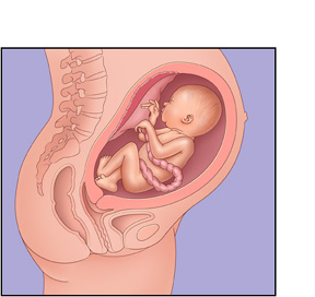 صور ومعلومات مراحل الحمل لحد الشهر السابع do.php?img=7026