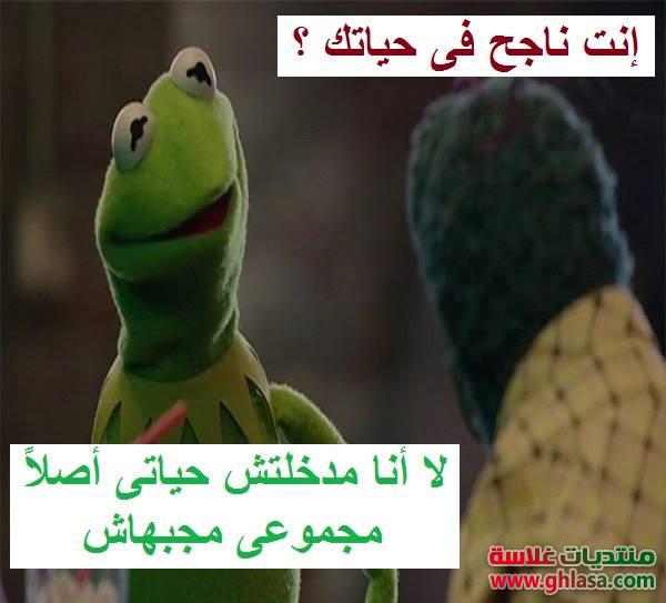 أجمل صور نكت جديدة الضفدع كيرمت فيس بوك , نكت مصرية مضحكة للفيسبوك 2024 / 2022 do.php?img=70975