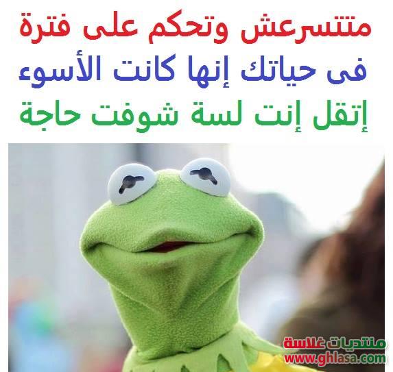 أجمل صور نكت جديدة الضفدع كيرمت فيس بوك , نكت مصرية مضحكة للفيسبوك 2024 / 2022 do.php?img=70977