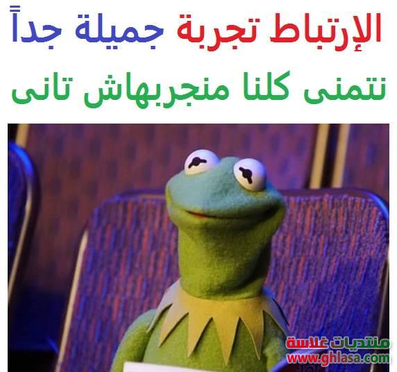 أجمل صور نكت جديدة الضفدع كيرمت فيس بوك , نكت مصرية مضحكة للفيسبوك 2024 / 2022 do.php?img=70978