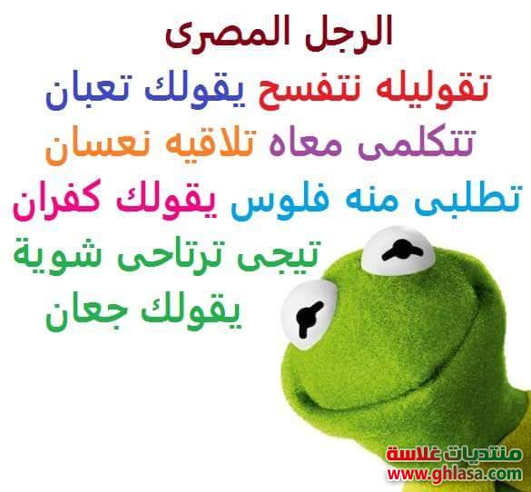 أجمل صور نكت جديدة الضفدع كيرمت فيس بوك , نكت مصرية مضحكة للفيسبوك 2024 / 2022 do.php?img=70979