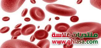 علاج فقر الدم nolink.gif