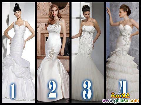    2025     2025  Wedding Dresses2025 ghlasa1377488726257.jpg