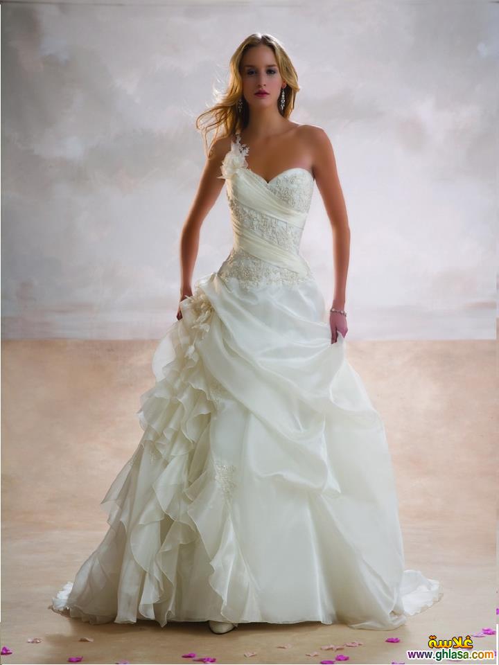      2025     2025 Wedding Dresses2025 ghlasa1377489344438.jpg