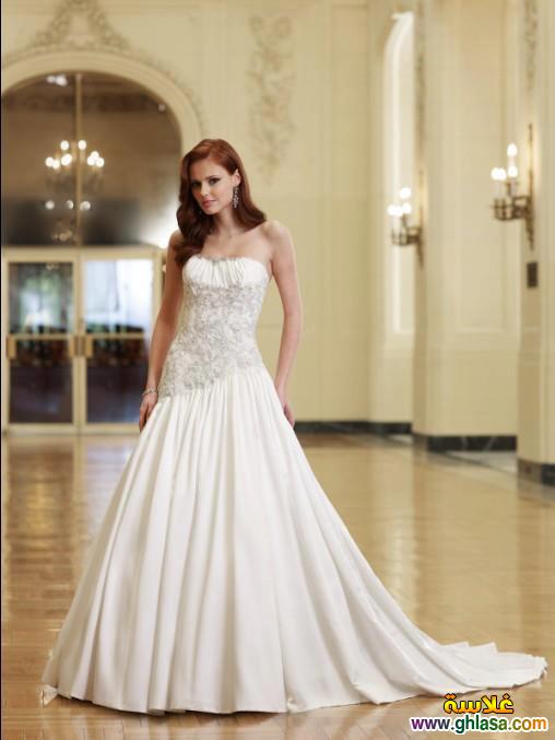 Wedding Dresses 2025 ، صور زفاف جديدة مميزة 2025 ghlasa1386299754096.jpg